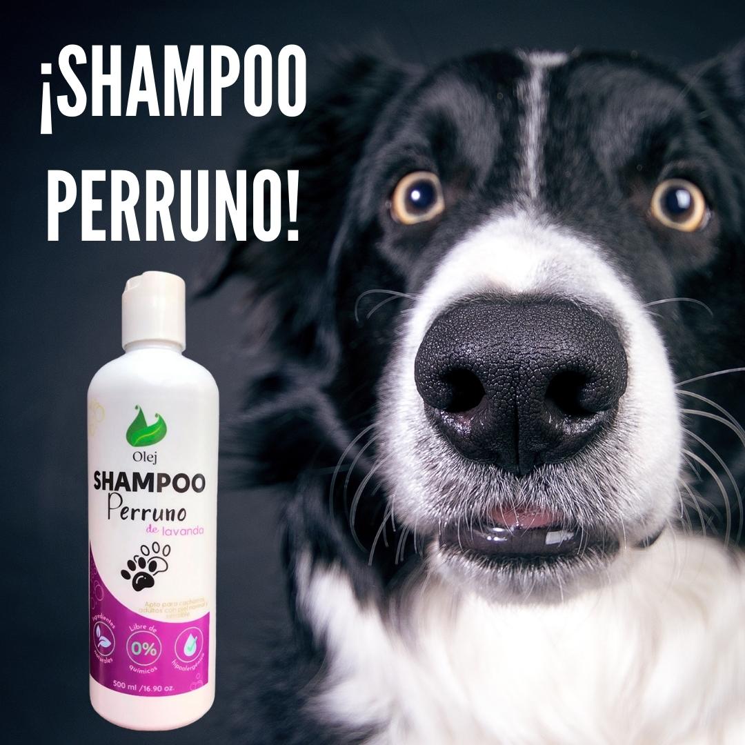 Shampoo perruno