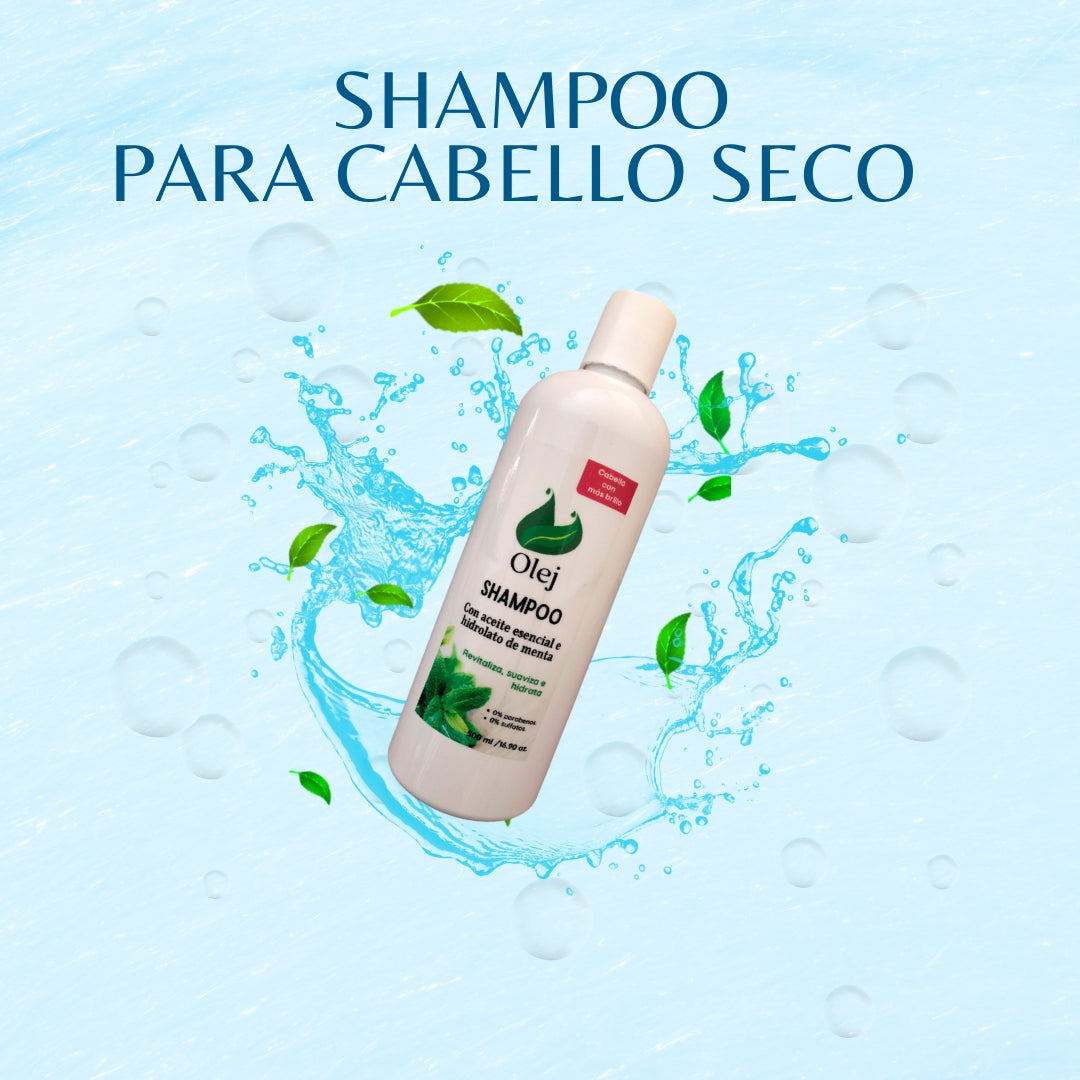 Shampoo con Hidrolato de Menta